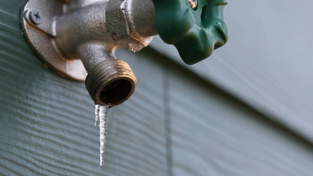 Best Same-Day Plumbing Service  in Griswold, IA